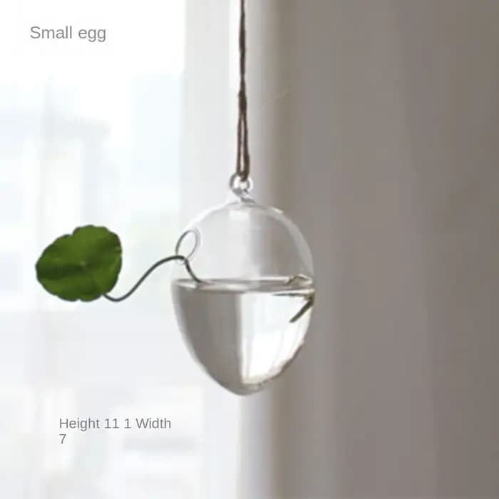 Vase en verre suspendu hydroponique