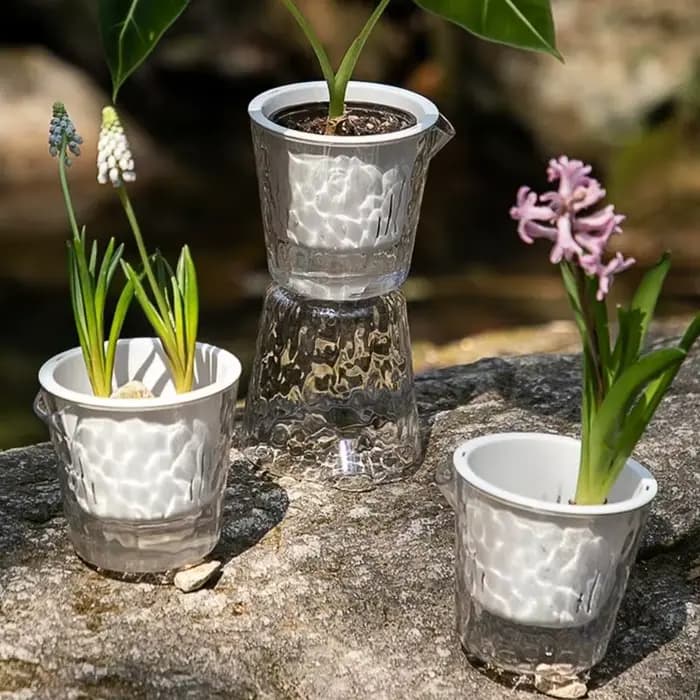 Paquet 6 porte-fleurs en plastique avec fonction d'arrosage automatique pour fleurs petits buissons d'intérieur B03E