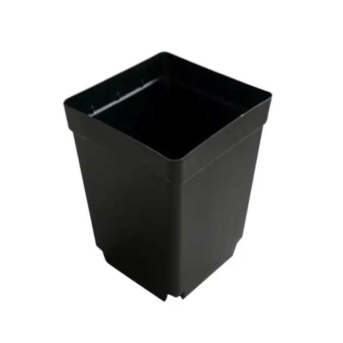 Petit pot de fleur de poulet carré noir, plastique de semis de coupe, plante, 100 pièces