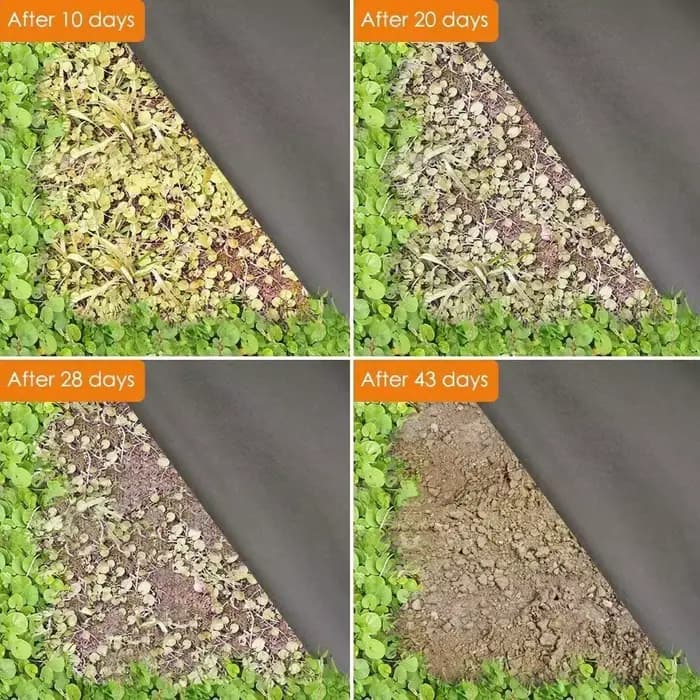 Tissu paysager de barrière contre les mauvaises herbes de jardin de haute qualité avec 10 agrafes pa