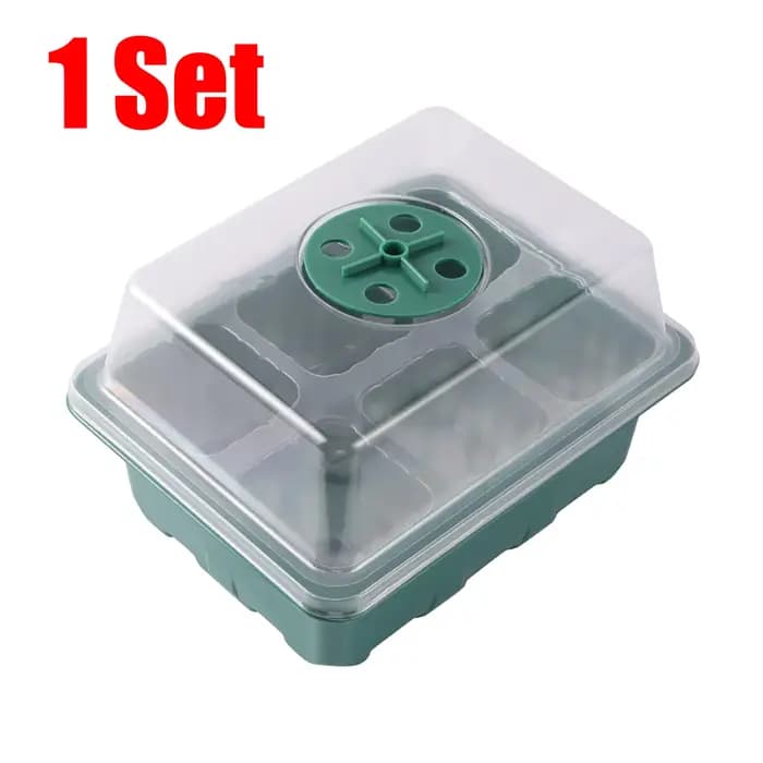 Boîte de Germination respirante à 6 cellules
