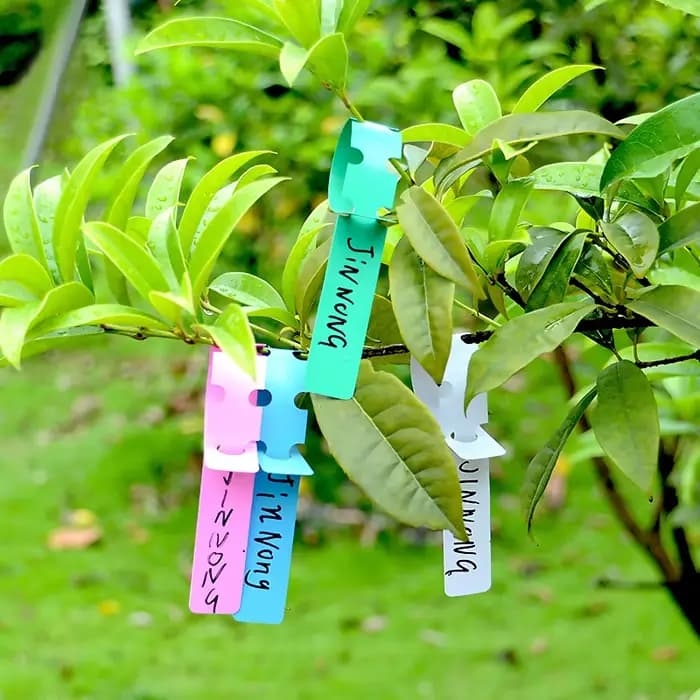 Marqueurs de plantes imperméables en plastique, étiquettes suspendues pour plantes de jardinage, out