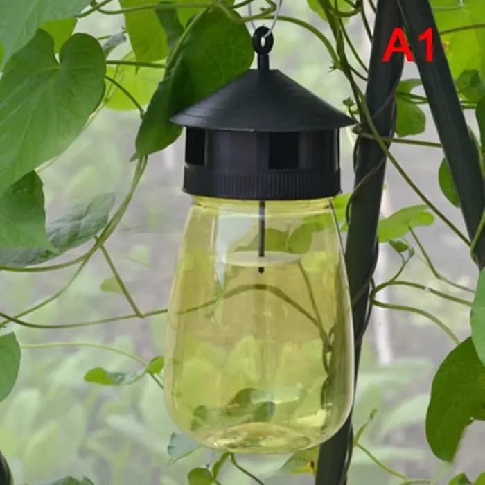 Piège à guêpes, mouches et insectes