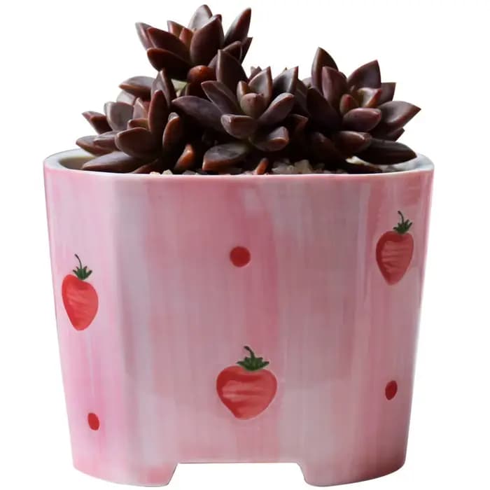 Pot de fleurs succulentes carré en céramique peint à la main pour fille rose