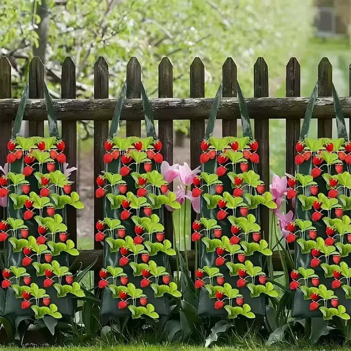 Sacs de culture suspendus pour fraises et tomates