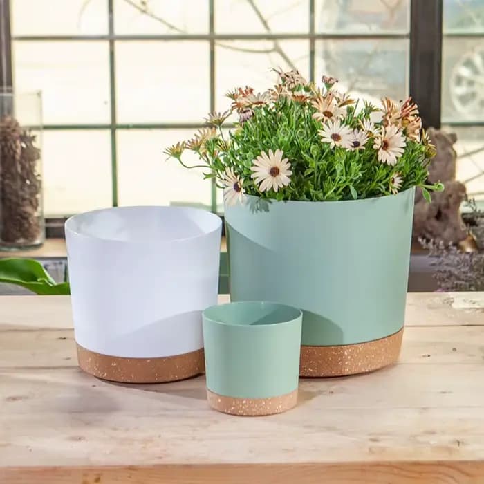 Pot de plante circulaire en plastique avec séparation, jardinière succulente, conception de bonsaï,