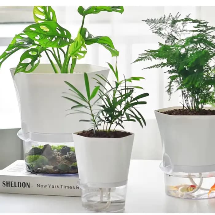 Mini pot de fleur hydroponique pour la décoration de la maison