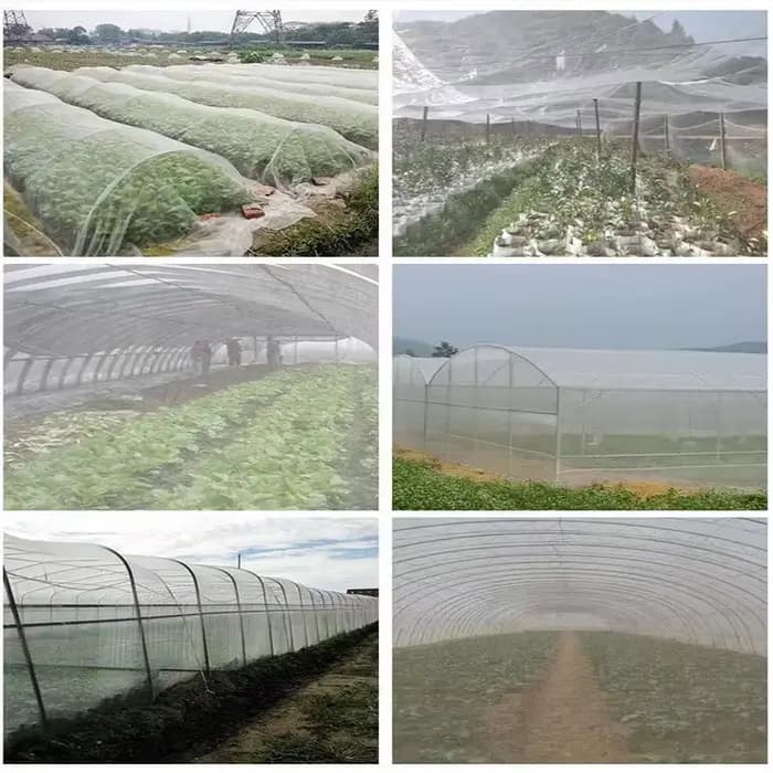 Filet de protection pour arbre fruitier, serre, légume, insecte, jardin, légumes, tunnel, fin