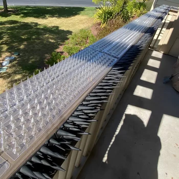 24 pièces répulsif pour oiseaux pointes en plastique Transparent chat intrus dissuasion bande Anti e