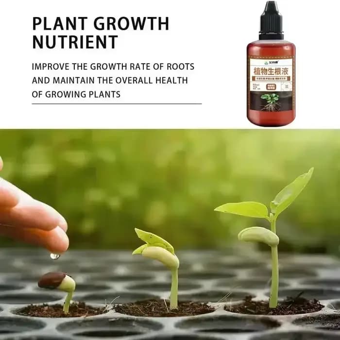 1/2/3/4/5 pièces engrais pour plantes activateur de semis stimuler la croissance