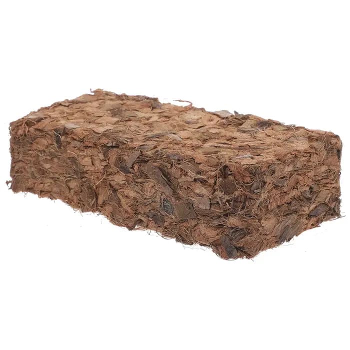 Bloc de terreau nutritif en fibre de coco pour pépinière