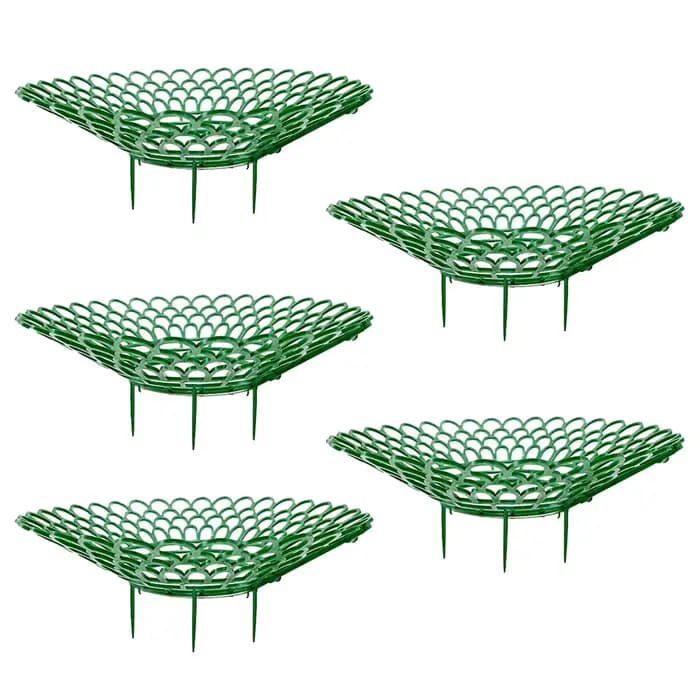Supports de fraises avec 3 pieds de Support robustes, pour conserver les plantes et les fruits, supp