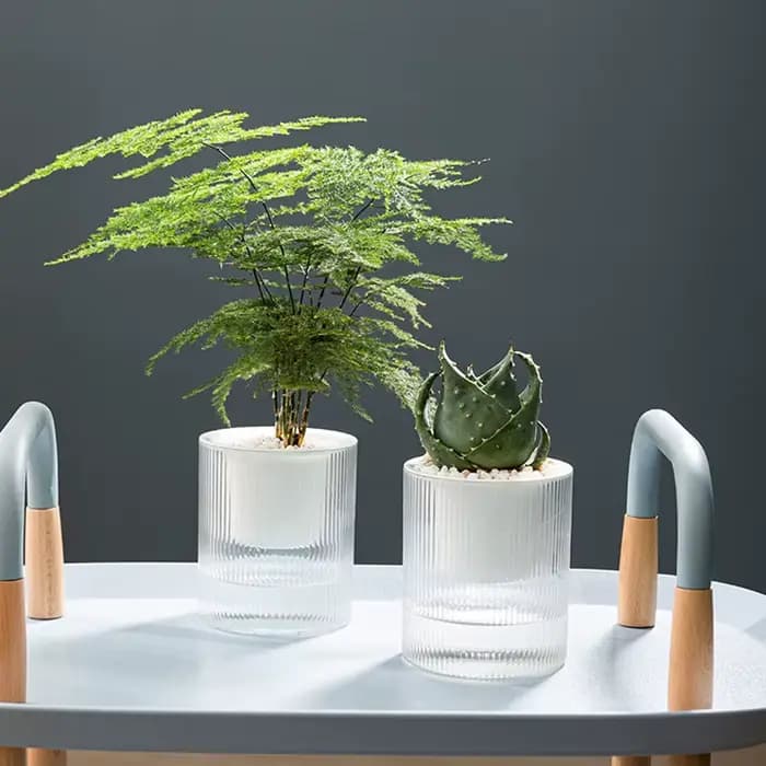 Pot de fleurs auto-arrosage pour plantes hydroponiques succulentes d'intérieur, Mini Pots de jardinière pour aquarium, Pot de fleur de table, décor de bonsaï pour la maison