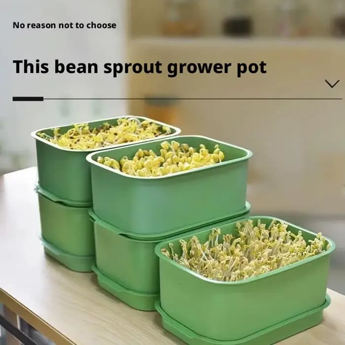 Plateau de germination pour graines, jardin hydroponique, germination d'arachides, boîte de germination, mini kits de serre, pot de plantation sans terre O8P4