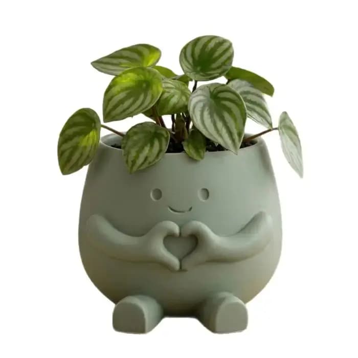 Pot de fleurs en résine en forme de tête de fleur mignon pour intérieur et extérieur