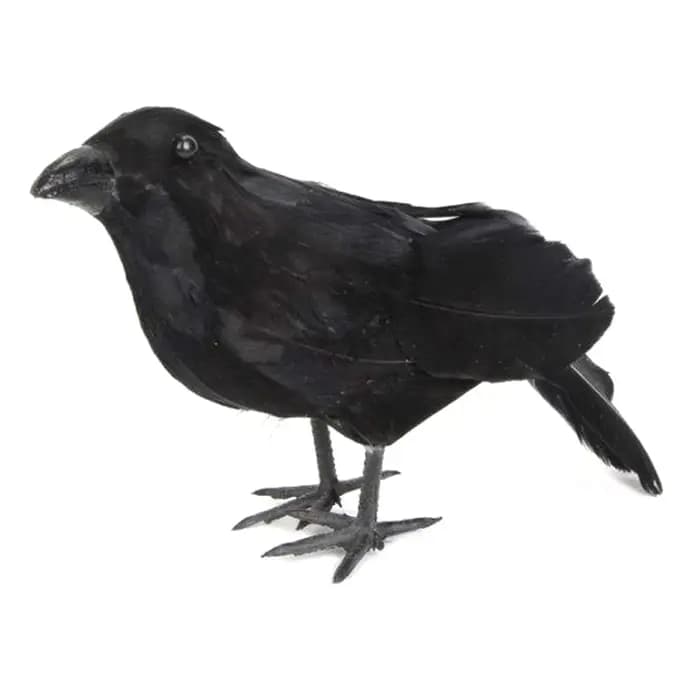 đ Corbeau noir de simulation, rĂ©pulsif anti-nuisibles, anti-pigeons, dĂ©coration de jardin, dĂ©coratio