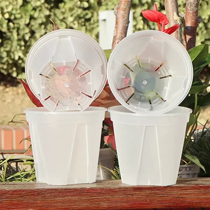 Pots d'orchidées en plastique transparent avec trous, pot de fleur transparent, plantes succulentes,