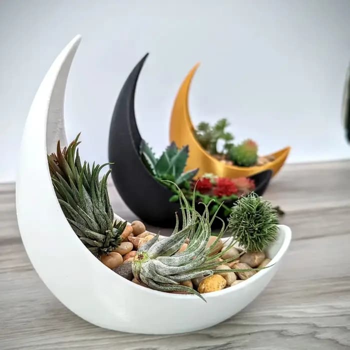 Pots de fleurs en forme de lune, décoration de maison moderne, plantation de plantes succulentes, améliorant la beauté spatiale, une qualité de vie indispensable.
