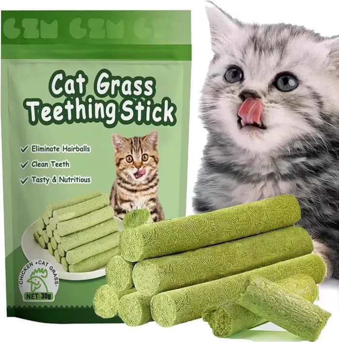 Lot de 60 bâtonnets de herbe naturelle pour chat, friandises pour l'élimination des boules de poils, jouets à mâcher au poulet et à la catnip pour le nettoyage des dents, friandises pour chatons