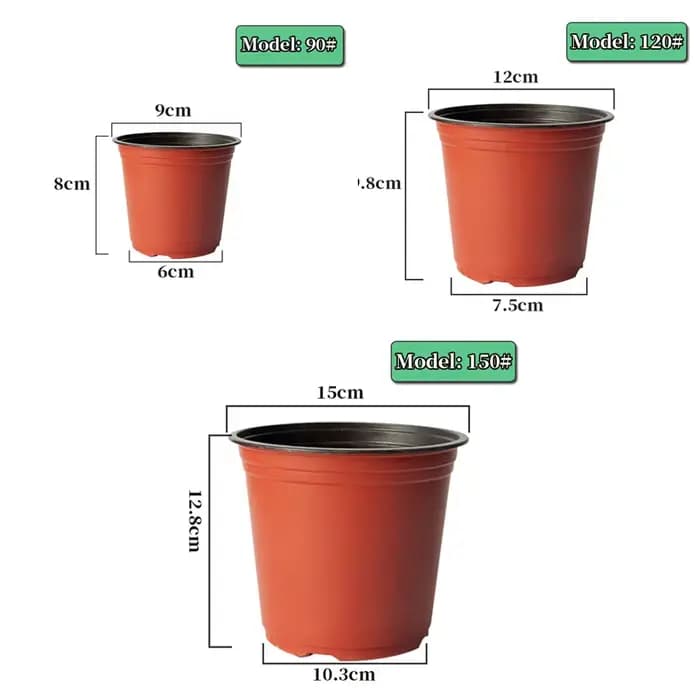 Pot de démarrage de graines de plantes, 100 pièces, récipient de plantes à fleurs en plastique, plan
