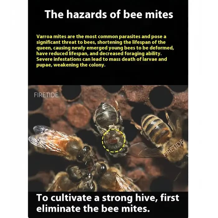 Traitement des acariens des abeilles