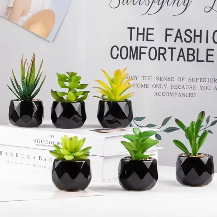 Plantes bonsaï succulentes artificielles avec Pot en poterie