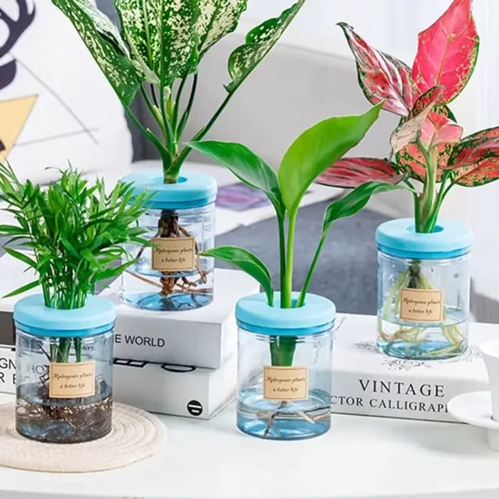 Pot de fleur hydroponique transparent, vase de plantation d'eau, conteneur paresseux, plantes britto