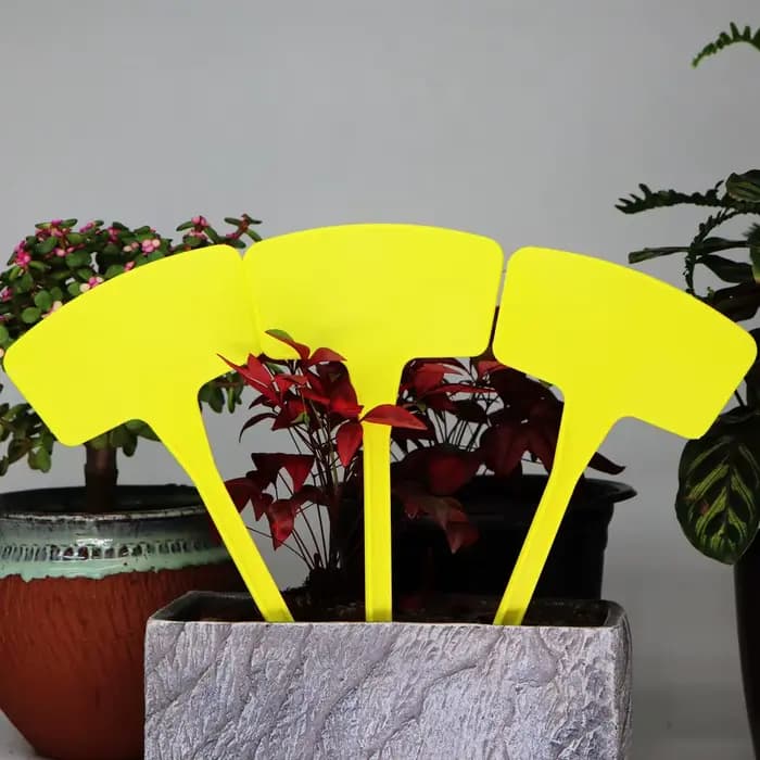 Étiquettes jaunes de Pot de jardin Type T, plaque d'enregistrement étanche d'intérieur et d'extérieu