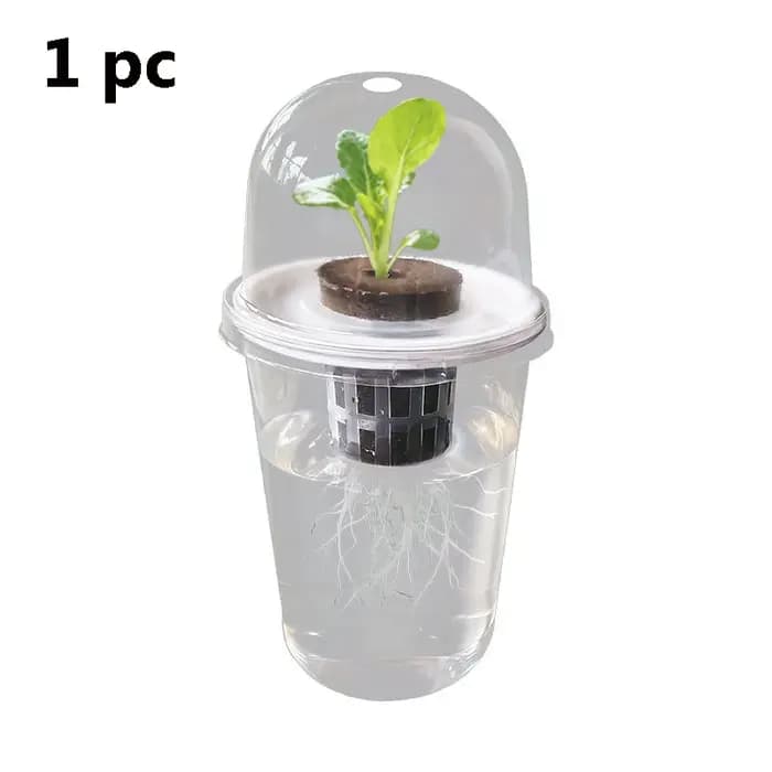 Pot hydroponique cylindrique Transparent en plastique, pour plantes succulentes, pommes de terre dou