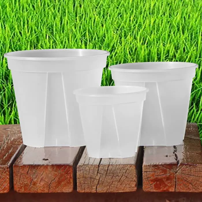 Pots d'orchidées en plastique transparent avec trous, pot de fleur transparent, plantes succulentes,