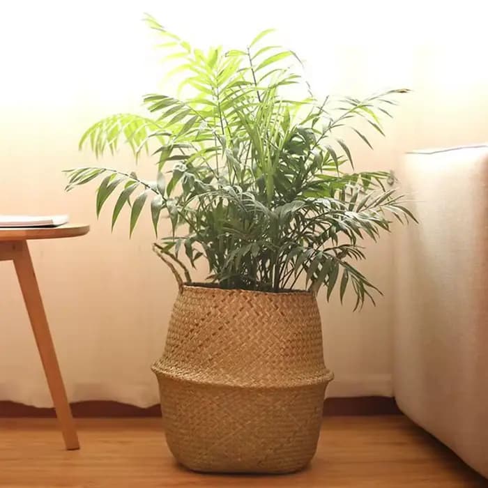 Panier en jonc de mer tissé paniers en osier Pot de plante de stockage pour panier de Pot de plante