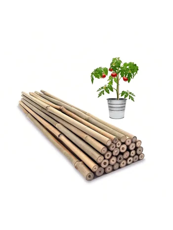 Piquets en bois de jardin en bambou, plantes en bambou écologiques, piquets en bois, plantes grimpan
