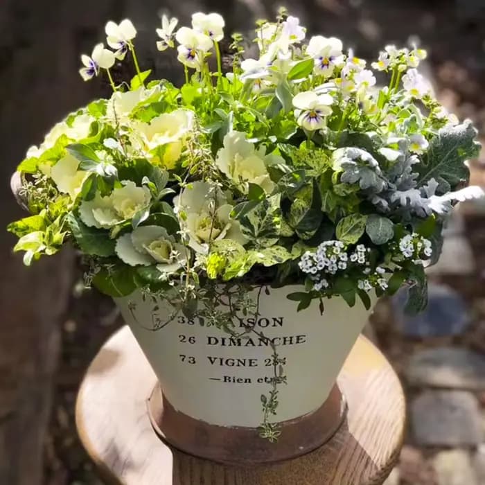 Ins – Pot de fleur Vintage en fer à Double poignée