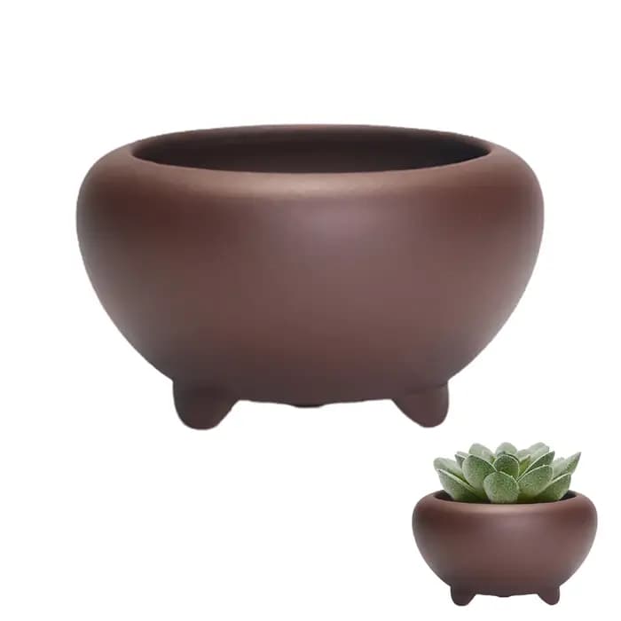 Pot de fleurs succulentes en grès pour la maison