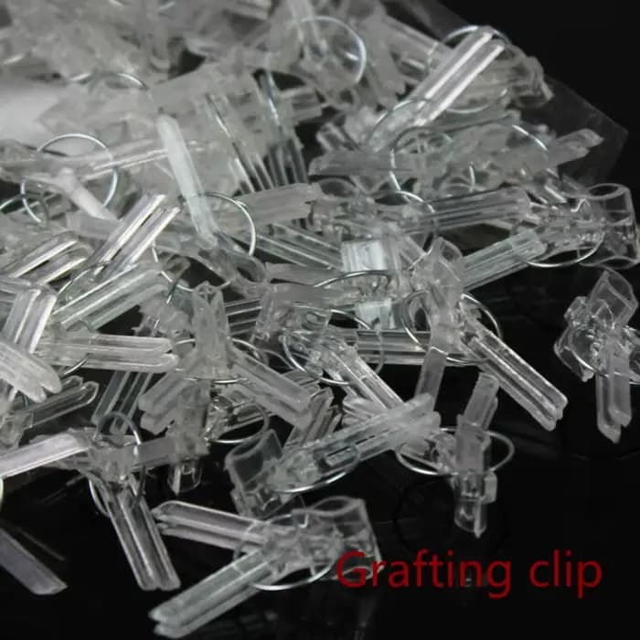 Clips de greffage pour plantes, 100 pièces, pinces de fixation en plastique, outils de jardin pour c