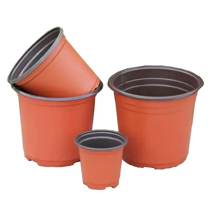 Pot de démarrage de graines de plantes, 100 pièces, récipient de plantes à fleurs en plastique, plan
