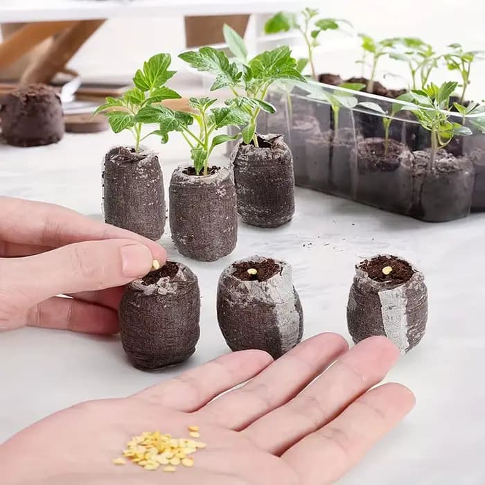 42 pastilles de semis de plantes de 30 mm, coupelles de semis pour légumes, fleurs, bonsaïs, accesso