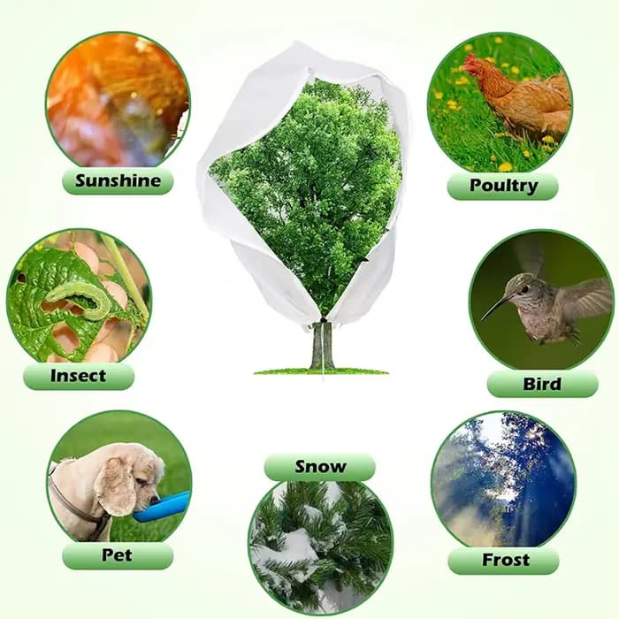 Juste de protection pour plante arbuste d'hiver