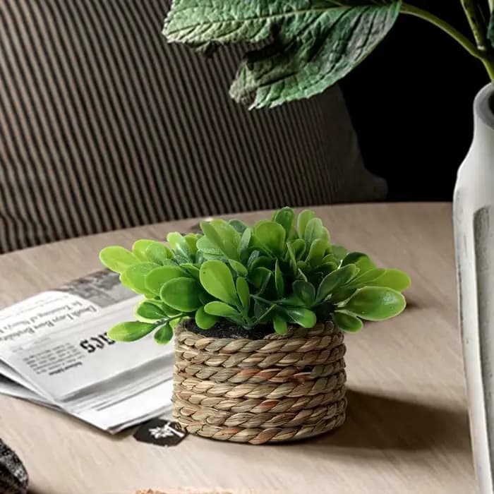 Plante en Pot petites fausses plantes, décoration intérieure pour la maison, Pot décoratif pour salon, bureau, fausse verdure réaliste