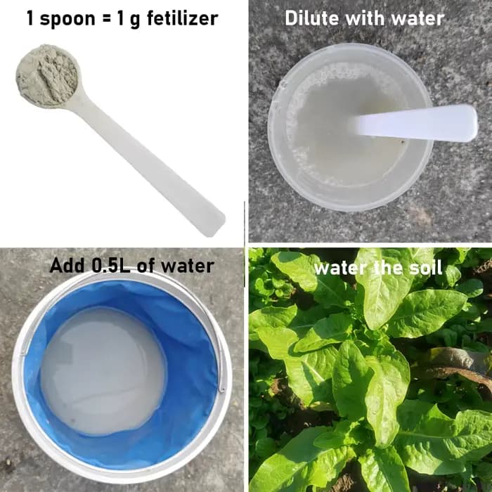 Engrais Microbien Hydrosoluble Écologique Metarhizium 30g – Protège les Plantes – Biofertilisant Naturel pour l'Agriculture Durable