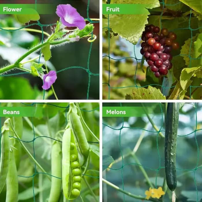 Filet en treillis pour plantes grimpantes, support de plante flexible, maille de croissance, robuste
