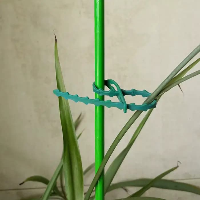 Attaches de câbles de jardin réutilisables, 50/100 pièces, Support de plantes, attaches d'arbustes,