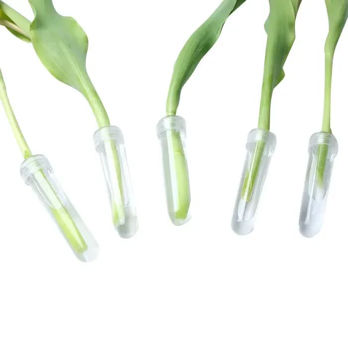 Tube de nutrition de fleurs fraîches en plastique avec bouchon, tube de stockage d'eau, récipient hy