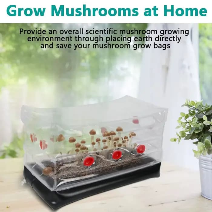 Kit de culture de champignons, Kit Monotub de champignons, Kit de culture de champignons gonflable p