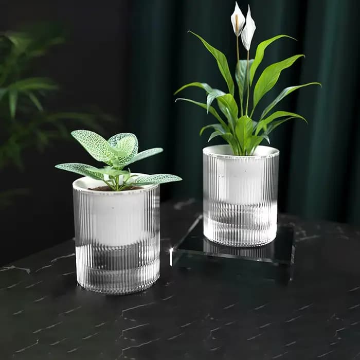 Pot de fleurs auto-arrosage pour plantes hydroponiques succulentes d'intérieur, Mini Pots de jardini