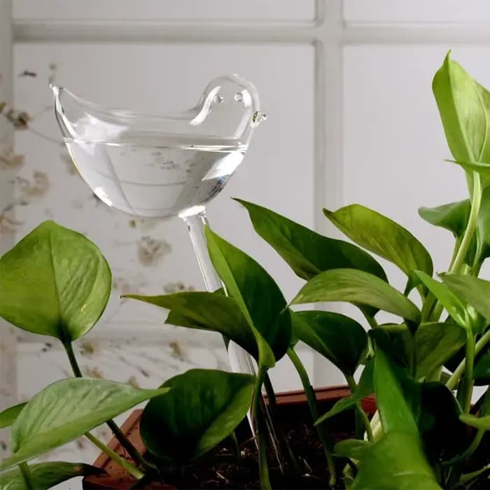 Ampoules d'arrosage automatique pour plantes, dispositif d'arrosage automatique en forme d'étoile/oi