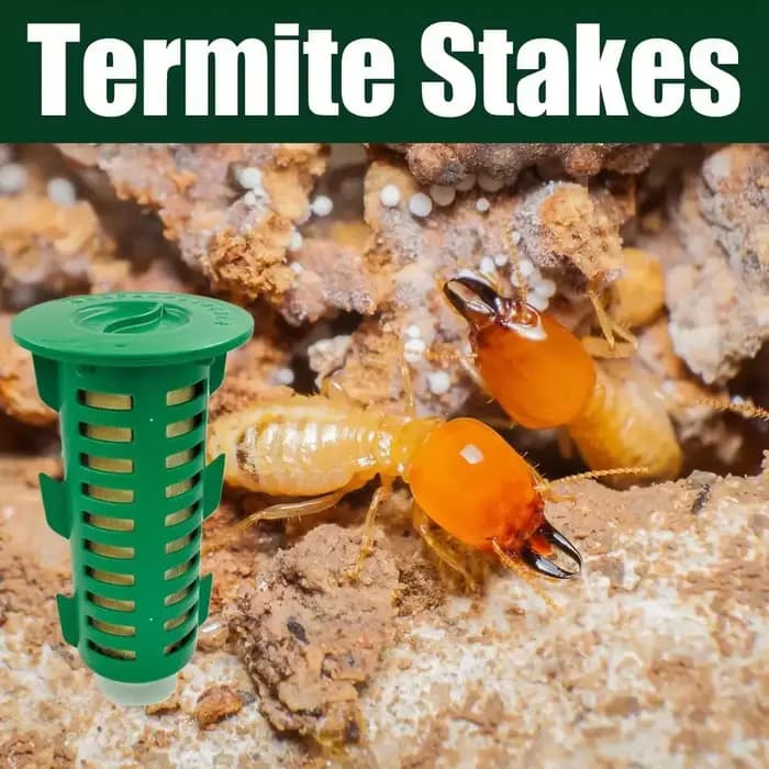 Piège de Station de tige d'appât de contrôle de termites souterraines