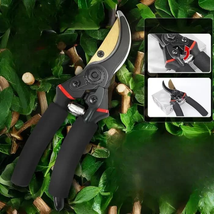 【Design d’économie d’écureuil】 Ciseaux de jardinage sécateur de branches