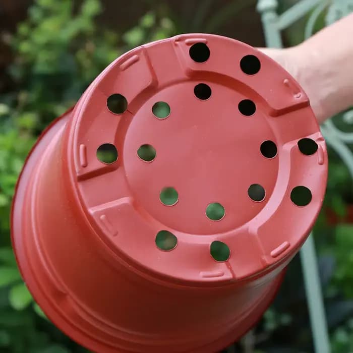 Pot de démarrage de graines de plantes, 100 pièces, récipient de plantes à fleurs en plastique, plan