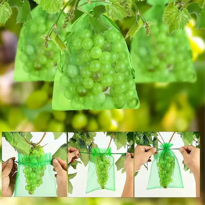 Sacs de Protection des raisins avec cordon de serrage, 100/50/20 pièces, sac en maille de Protection